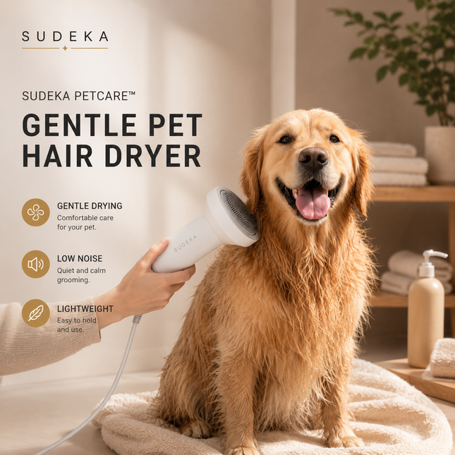 Séchoir intelligent pour animaux de compagnie Chien Golden Retriever Chat Toilettage Coiffure Souffleur et peigne Silencieux Sans danger Fournitures de nettoyage pour animaux de compagnie Produits pour animaux de compagnie